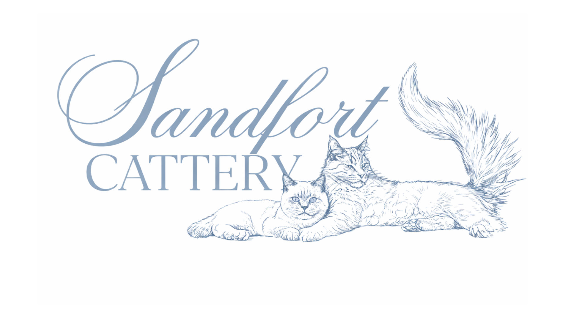 Sandfort Cattery